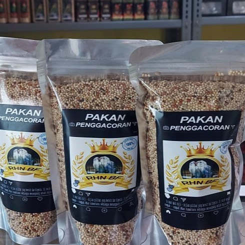 Pakan Penggacoran Lovebird Menuju Konslet Produksi RHN BF Salatiga