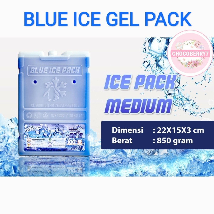 Ice Pack Sedang Blue Ice Pack Medium Reusable Pengganti Dry Ice