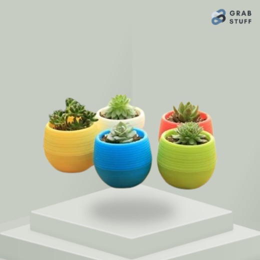 [5pcs] Mini Pot Bunga Hias Kaktus Tanaman / Mini Pot Bunga Hias Kaktus Tanaman 5 PCS Pot Bunga Mini Aesthetic Murah / Pot Bunga Hiasan Rumah Sudut Pot Hiasan Ruang Tamu Pojok Pot Bunga Bulat Bola / Vas Bunga Kaktus Mini Plastik Vas Bunga Tanaman Hias