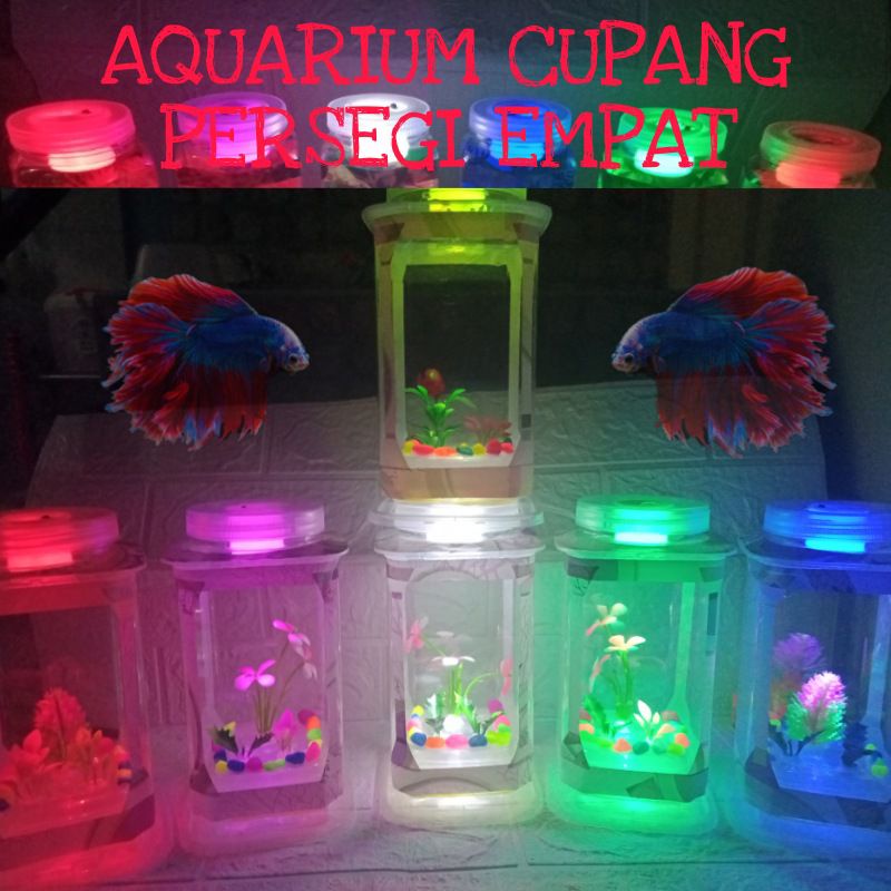 Aquarium Ikan Cupang Hias Bentuk Persegi Empat Bening Akuarium Mini Ikan Kecil Guppy Cupang Unik Mur