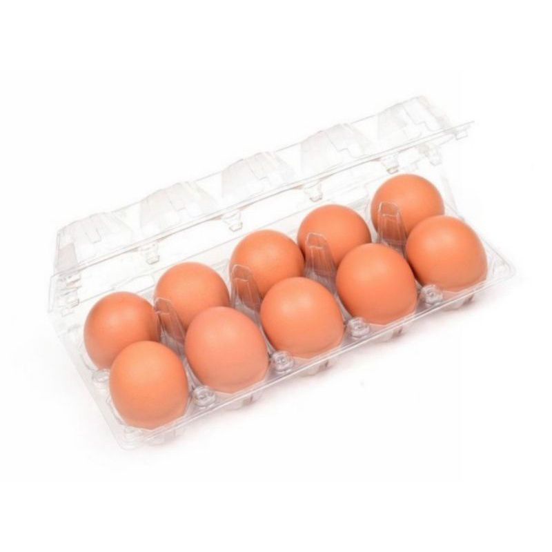 Mika Telur isi 10 ada Pengunci (isi 10pcs) / Egg Tray