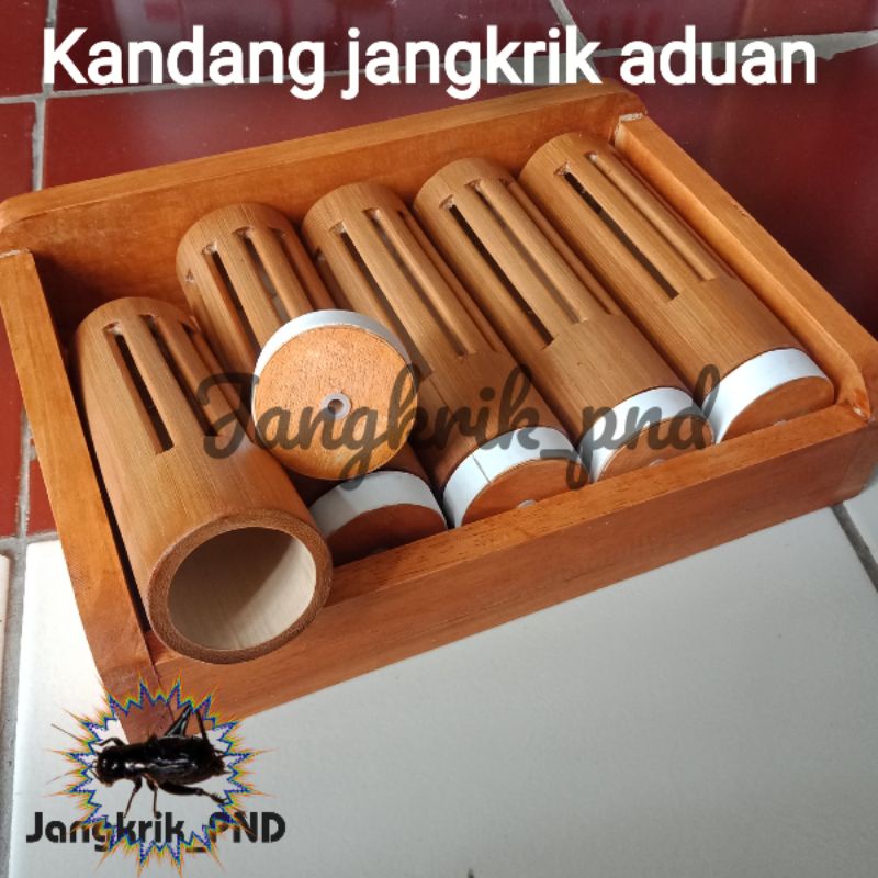 kandang jangkrik bumbung 5 slot unik / kandang jangkrik bambu bulat kupas / kandang jangkrik minimal