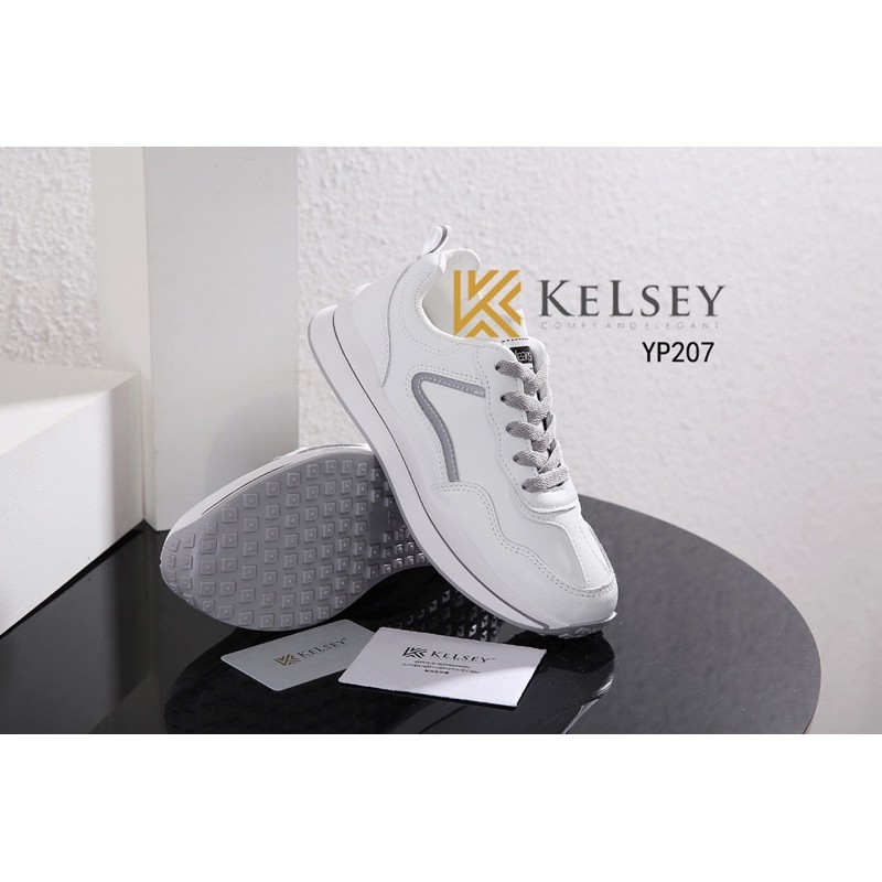 Carbon Brush Planer Coal Bostel Cb51(harga Tertera 2pcs)