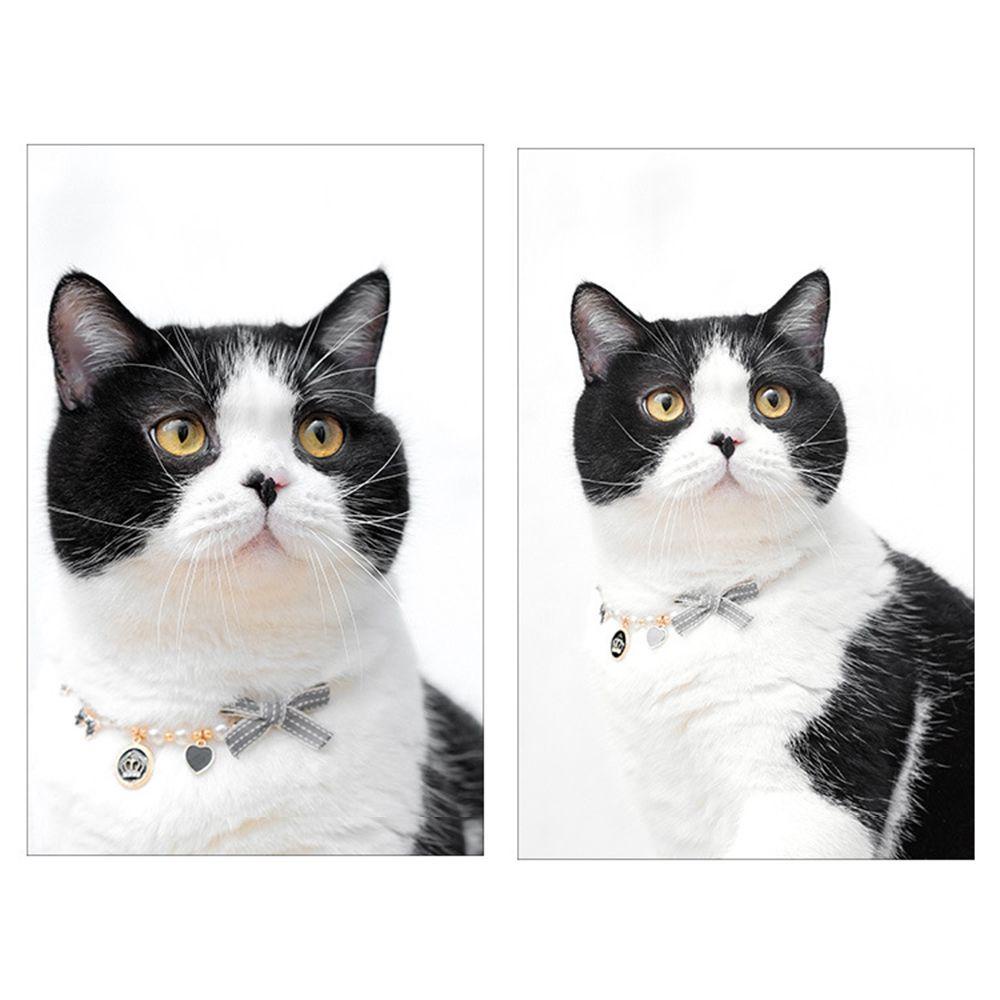 Solighter Pet Pearl Collar Pendant Perlengkapan Kucing Produk Hewan Peliharaan Adjustable Bow Dog Bell