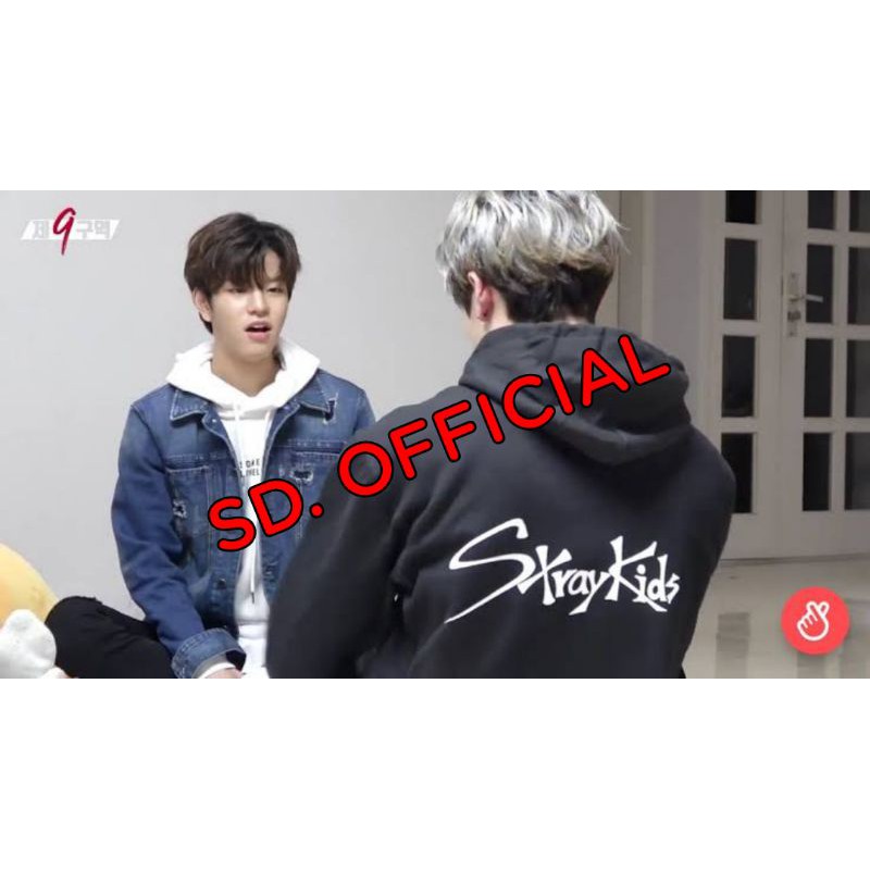 Jaket Hoodie Jumper Bang Chan StrayKids Sablon belakang