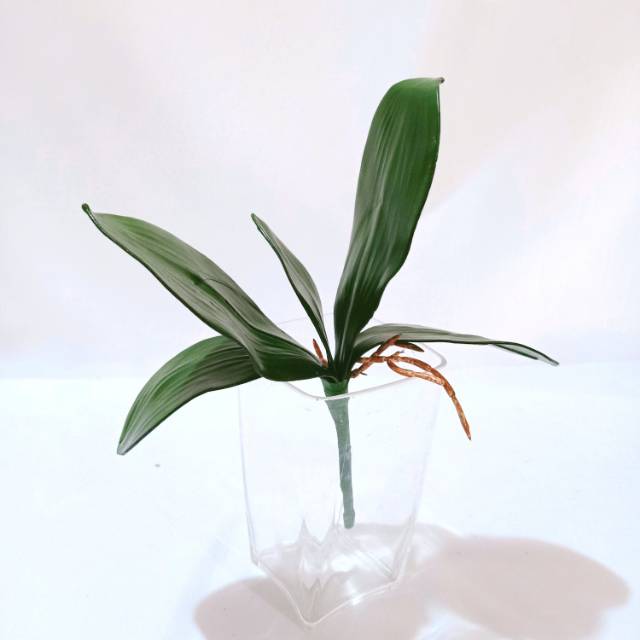 Daun anggrek plastik artificial import 29 cm
