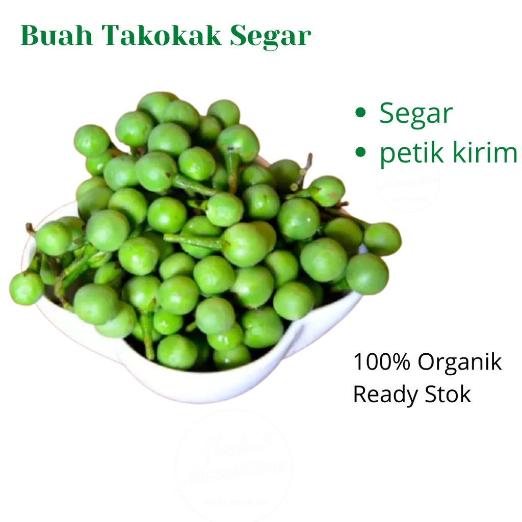 

buah takokak seger 500 grm