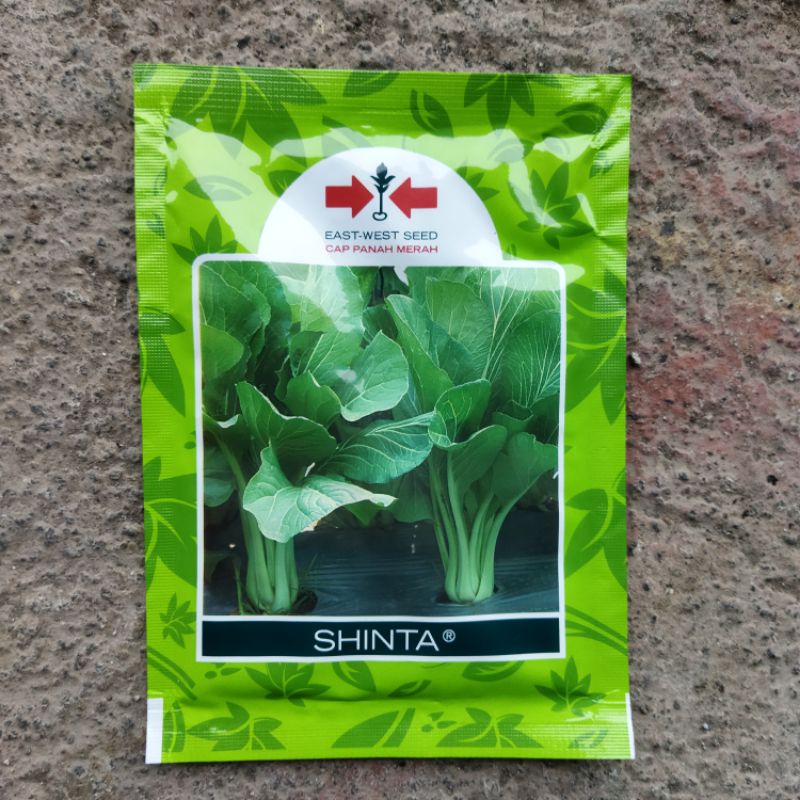 benih sawi CAISIM shinta 25 gram