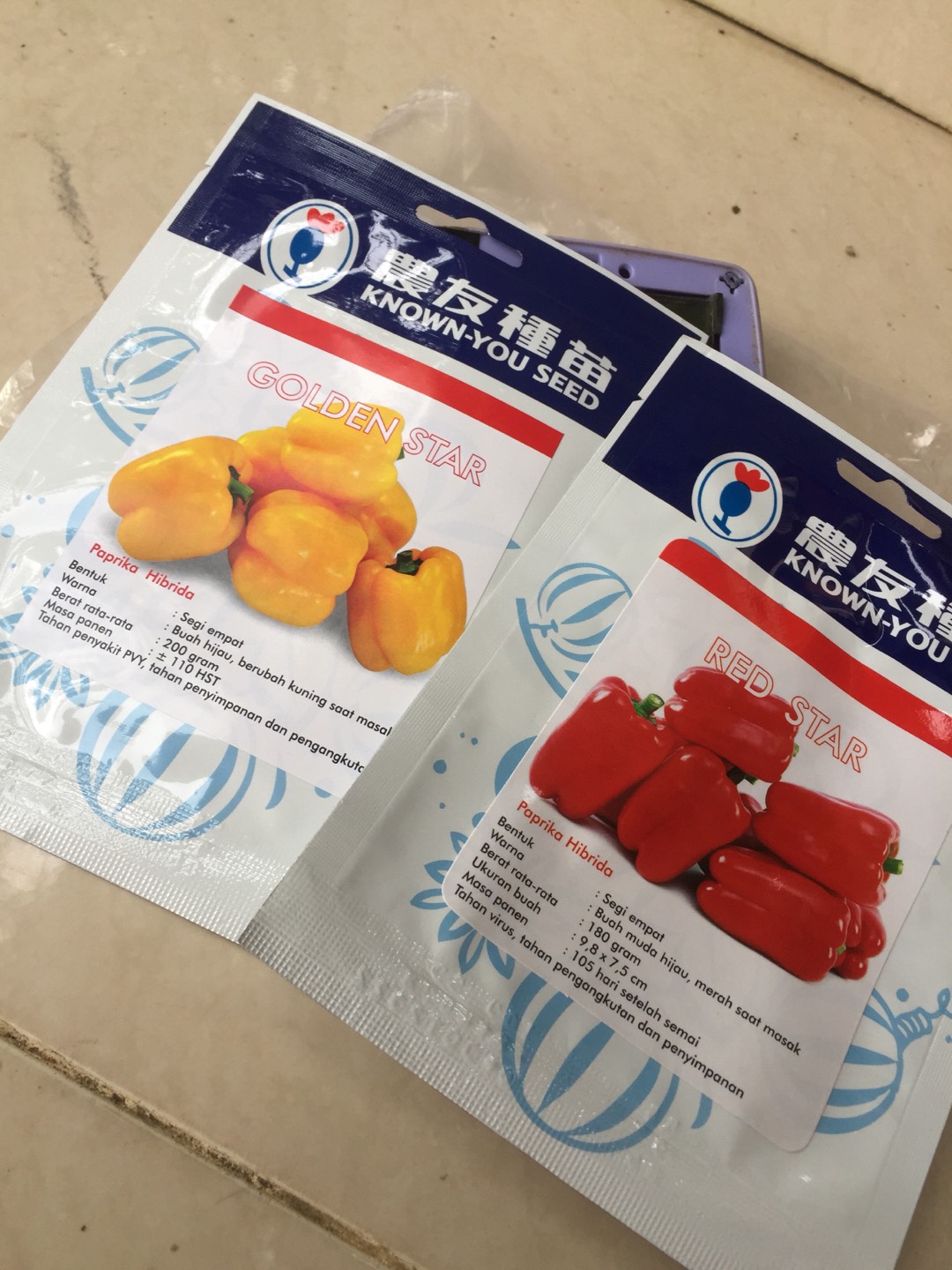 Benih Bibit Paprika Merah Red Star F1 Isi 100bj