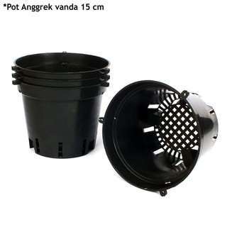 Pot Anggrek Dewasa Vanda Bulat 15 Cm Shopee Indonesia Pot Anggrek Dewasa Vanda Bulat 15 Cm Shopee Indonesia
