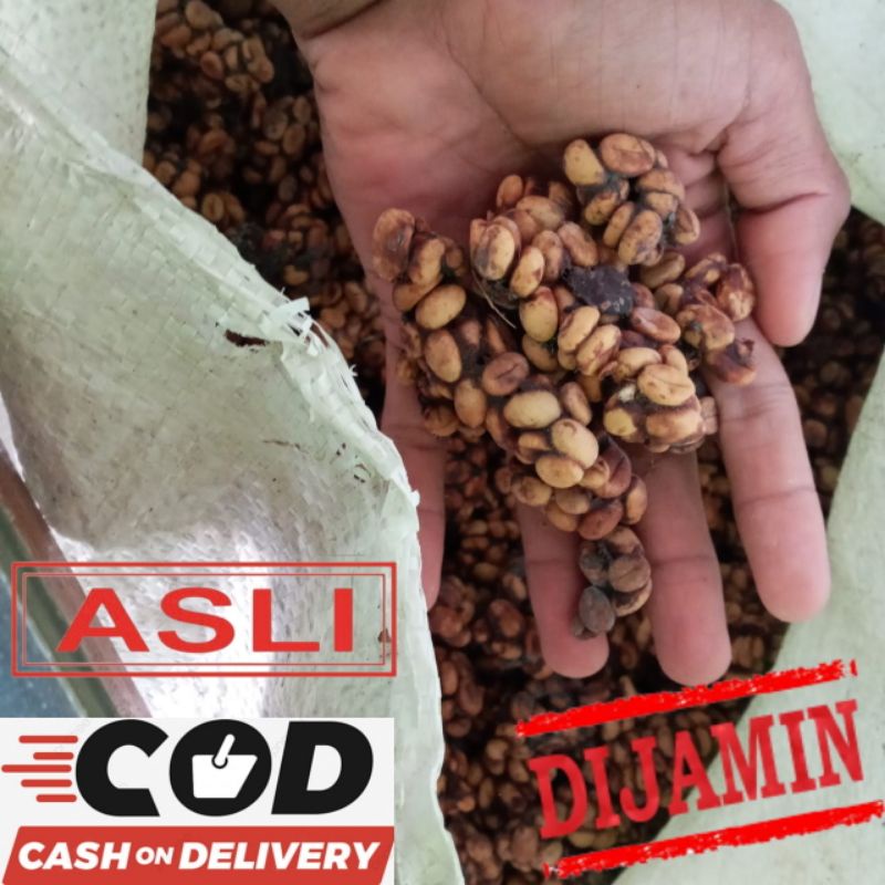 

Feses Kopi Luwak 1Kg Lereng Muria