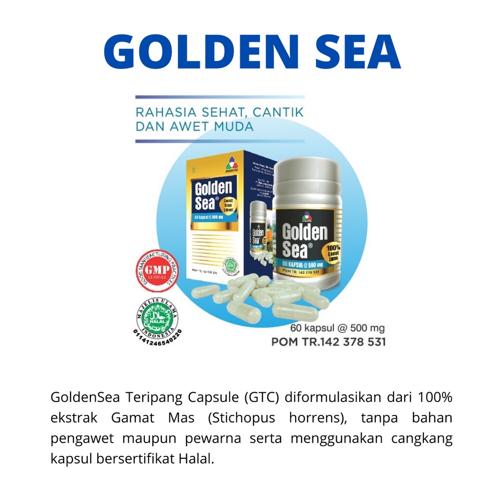 GOLDEN SEA/ GAMAT EMAS TERIPANG/PROTEIN DAN KOLAGEN