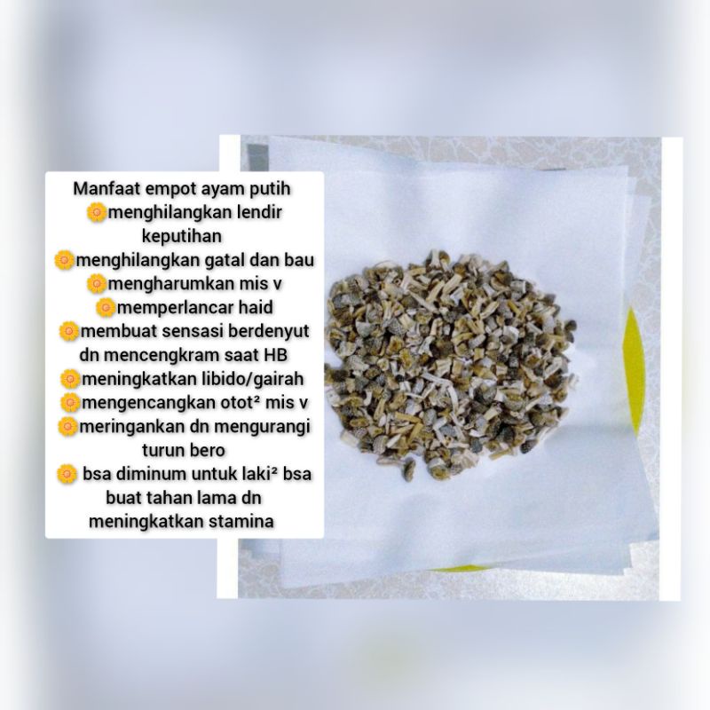 Jamu empot ayam putih