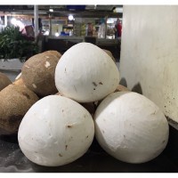 

kelapa parut 1 butir kelapa