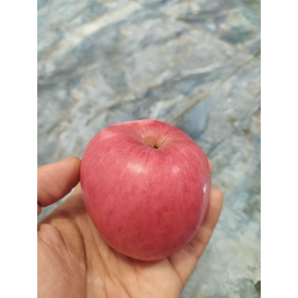 apel fuji super dan apel merah USA