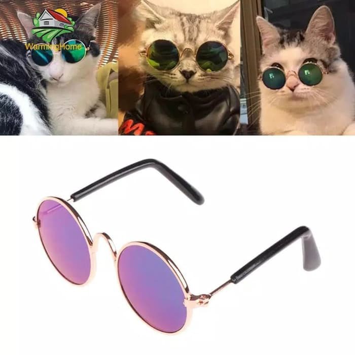 Kacamata Eyeglasses accesoris kucing Anjing persia peaknose kampung dome lucu
