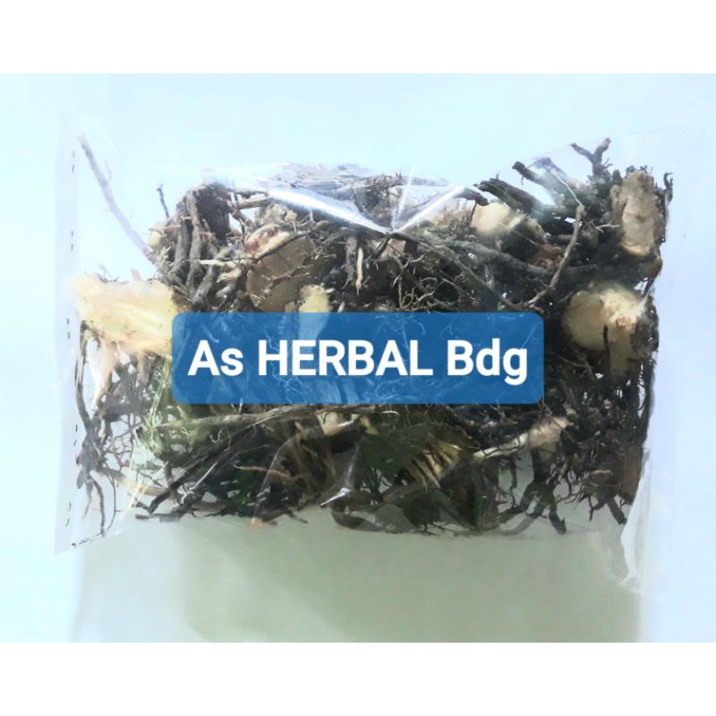 

Akar tebu gajah atau kaso glagah segar 250 gram-az