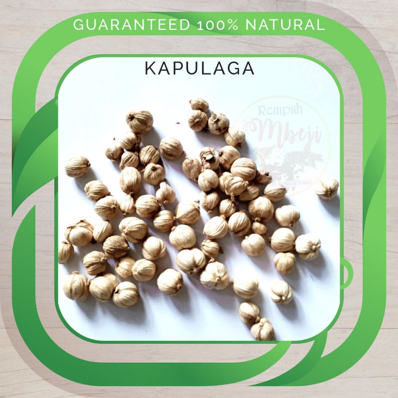 

KAPULAGA KERING ASLI REMPAH-REMPAH OBAT TRADISIONAL BUMBU MASAK OBAT HERBAL DETOX HERBAL BUMBU TRADISIONAL REMPAH HERBAL
