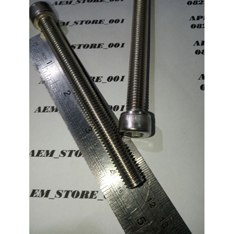 baut L M10 x 110 (11cm) stainless 304 THE A2-70