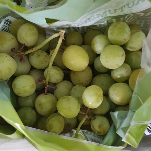 

Buah Anggur Hijau Green Seedless Grapes Per Pack