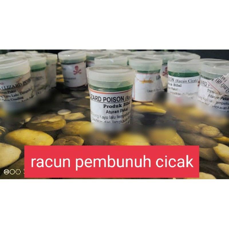 GROSIR RACUN CICAK RACAK LIZARD POISON PEMBASMI CICAK PALING AMPUH DI GEDUNG WALET DAN RUMAH