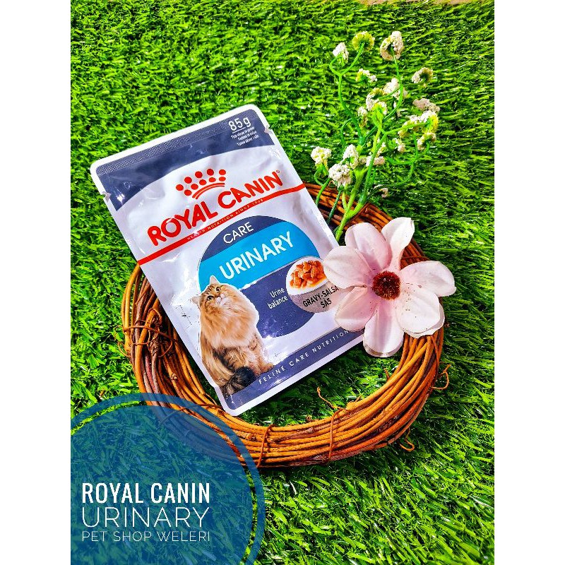 Royal Canin Urinary