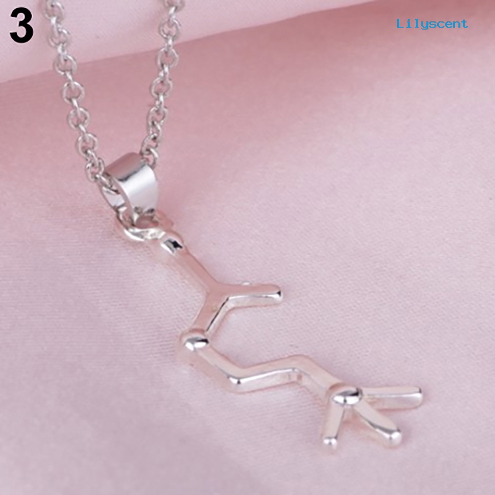 Kalung Dengan Liontin Molekul DNA Serotonin Dopamine Acetylcholine Biochemistry