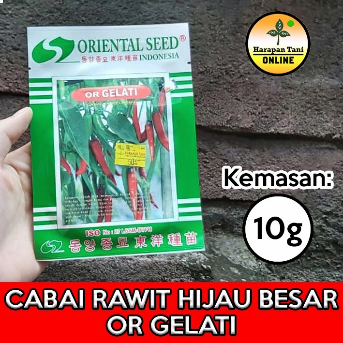 OR Gelati 10g | Cabai Rawit Hijau Besar | Oriental Seed