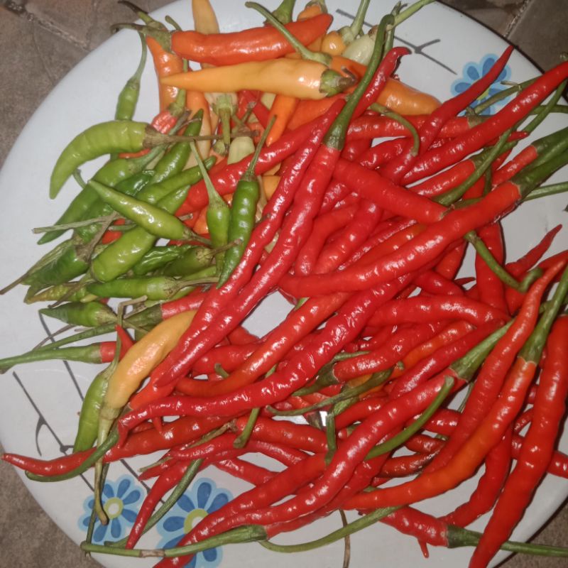 Cabe Campur 250 gram