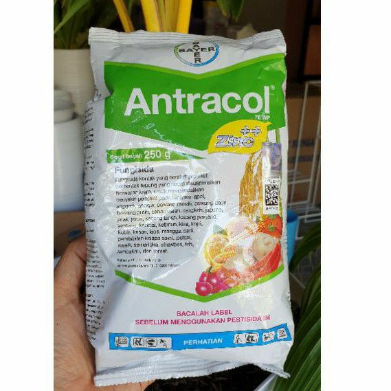 ANTRACOL 250gr fungisida antrakol anti jamur