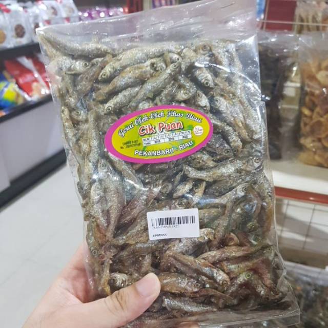 

Ikan Danau