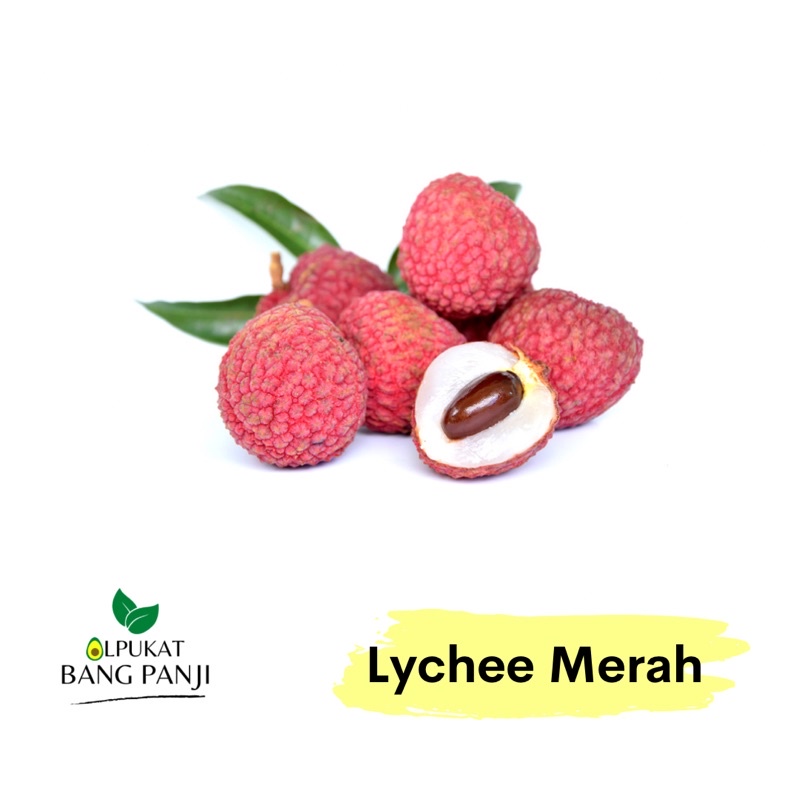 

ALPUKAT BANG PANJI - Lychee pink