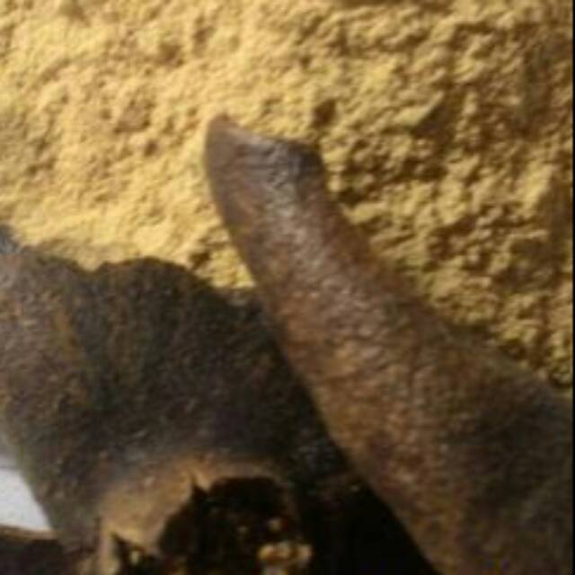 

Bubuk delima kulit kemasan 100gram