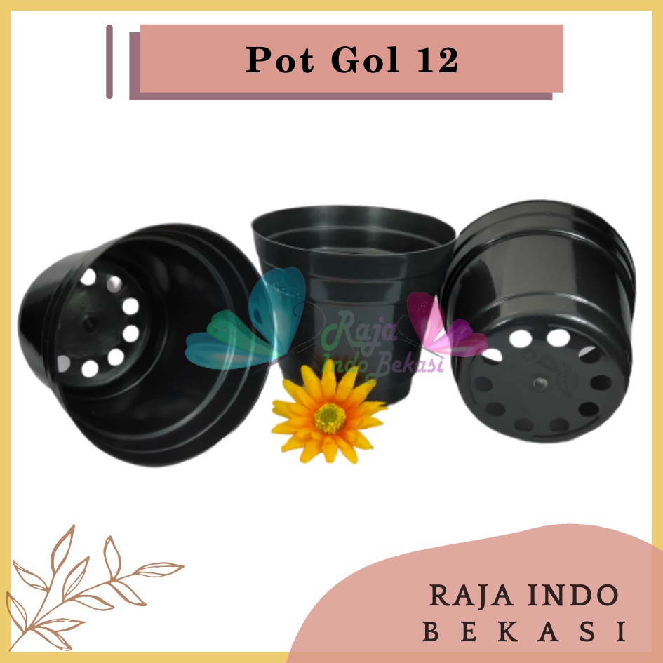 Pot 12 Cm Hitam Polos - Pot 12 Hitam Kecil Mini Minimalis Plastik Kaktus Sukulen Mini Murah Pot Bibit Pembibitan