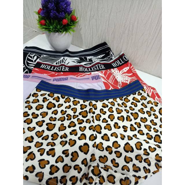 CD celana Boxer Cewek Murah - M L XL XXL - random colour