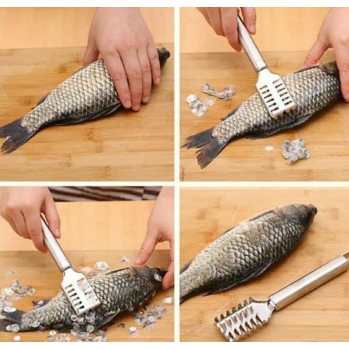 FISHY COM - PENGUPAS SISIK IKAN STAINLESS STEE PRAKTIS