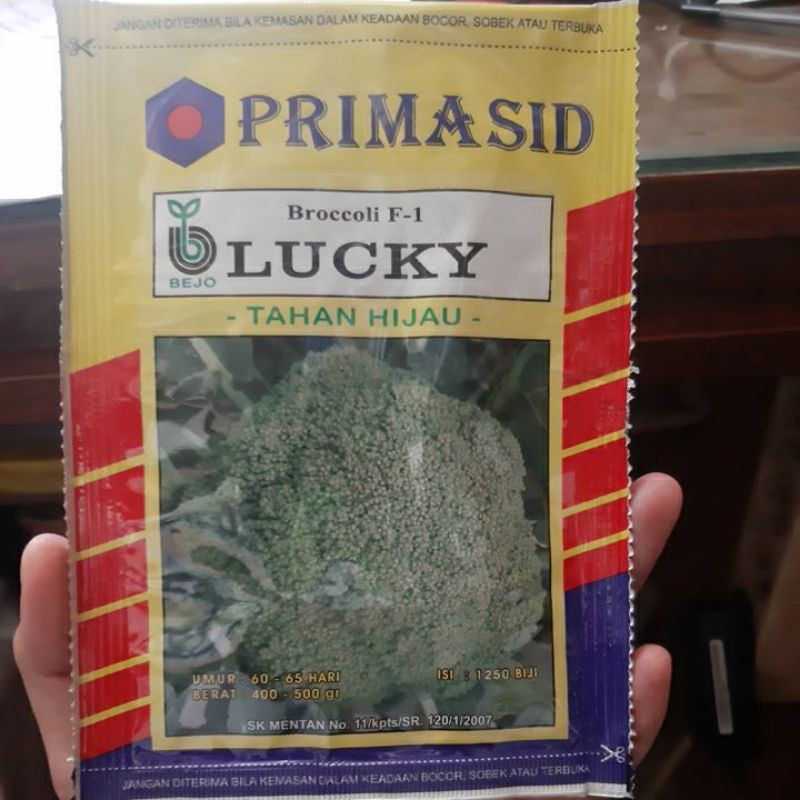 benih brokoli BEJO LUCKY Primasid 1250sd