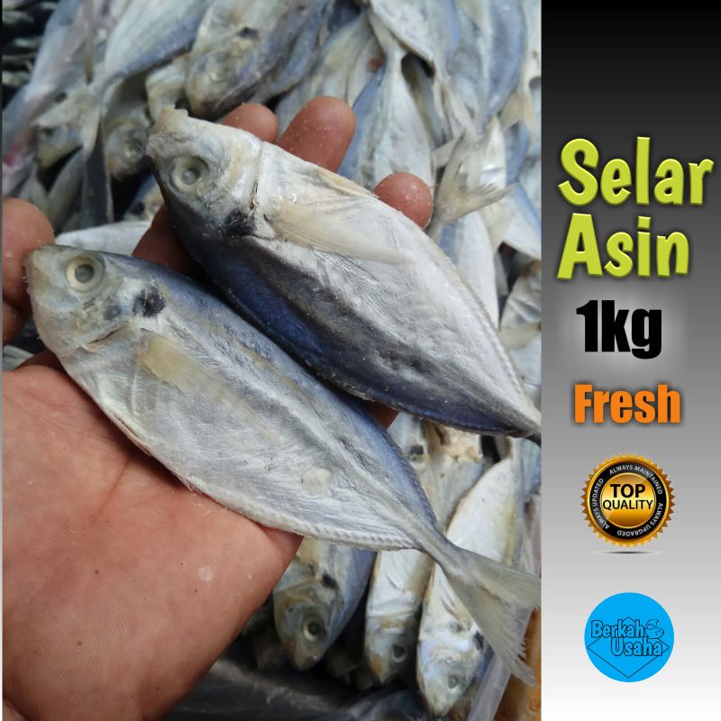 

IKAN ASIN SELAR 1KG//IKAN ASIN MURAH GROSIR 1KG//IKAN KERING//IKAN ASIN TERI JENGKI//TERI MEDAN SUPEE//CUMI BABY KERING//BABY CUMI ASIN KERING//IKAN GABUS KERING//IKAN ASIN JAMBAL ROTI//IKAN TERI NASI//MAKANAN KERING//TERI BELAH//PEDA MERAH