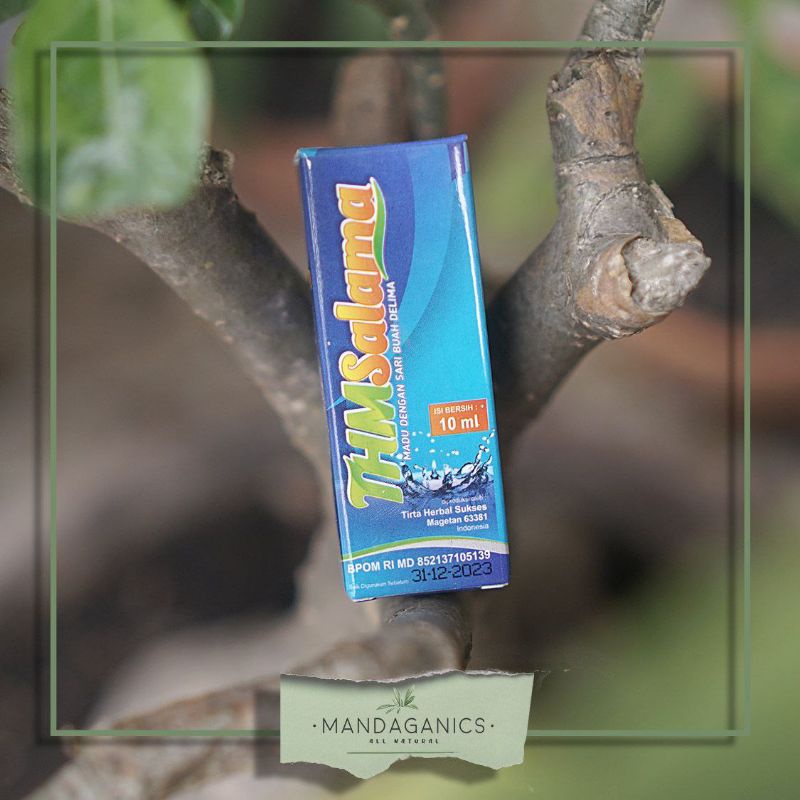 BIO TH TETES SALAMA | TETES HERBAL UNTUK SINUSITIS SAKIT MATA TELINGA by bioTH