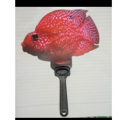 wayang ikan parrot untuk unthulan louhan