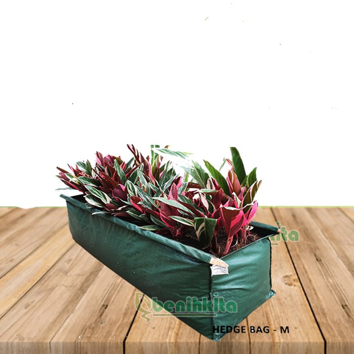 Hedge Planterbag/Pot Tanaman (Medium)