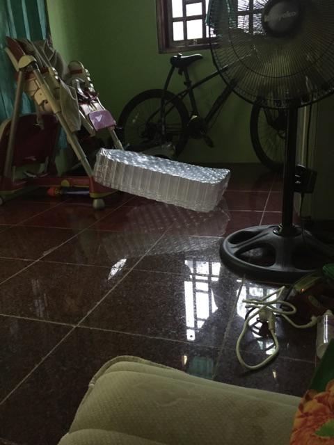 Tutup Botol Kale