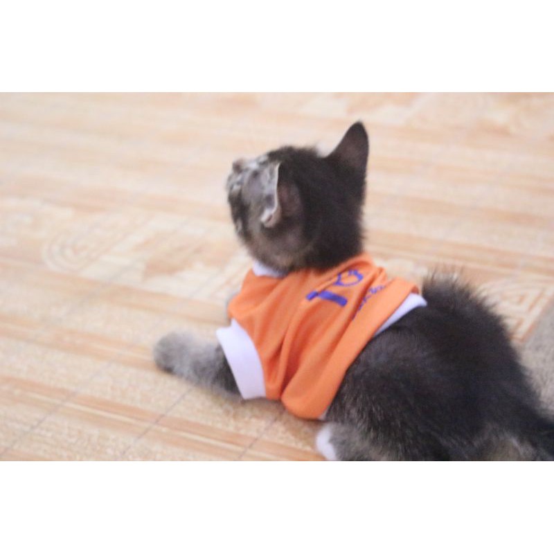 Kaos jersey juventus #28 lucu untuk kucing dan anjing / baju bola kuving &amp; anjing size S-XL