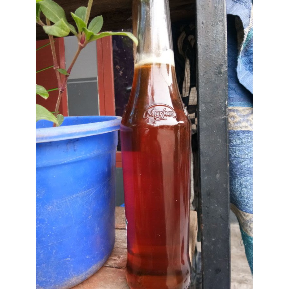 

QH Madu Hutan Multiflora Murni 100% Asli - Madu Murni Asli 1kg