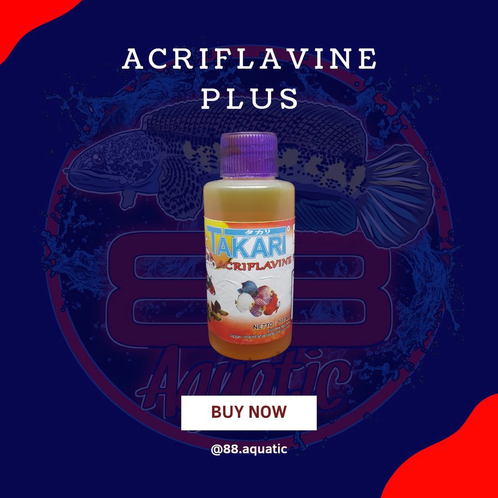 Acriflavine Plus 100ml / Obat Kuning