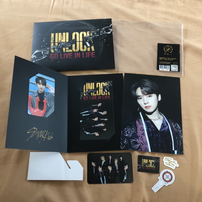 AR TICKET BEYOND GO LIVE IN LIVE STRAY KIDS (AR TICKET STRAY KIDS LEE KNOW SET)