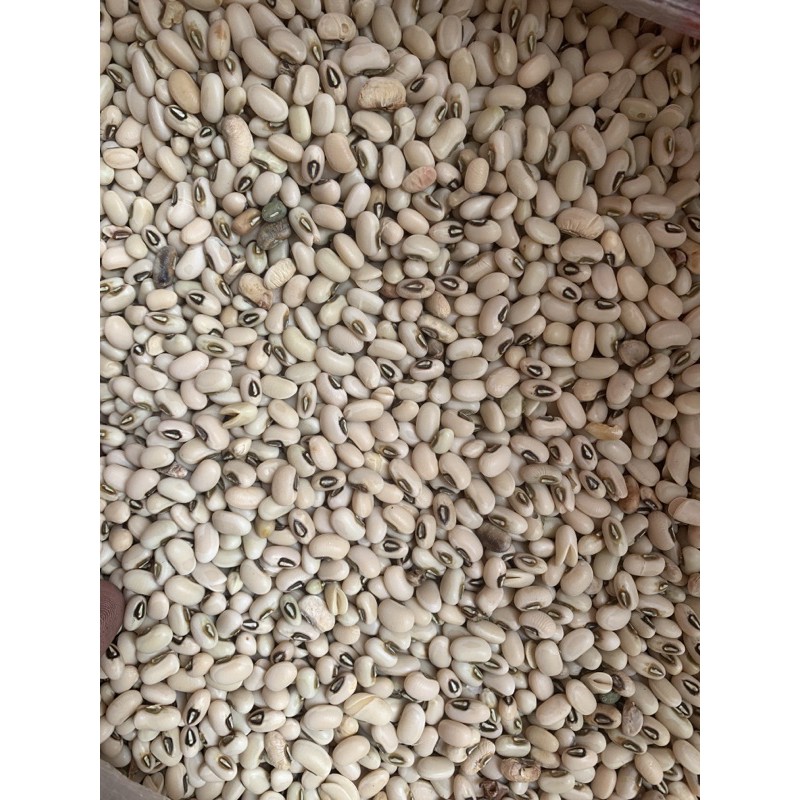 

Kacang Beras Putih / Otok putih