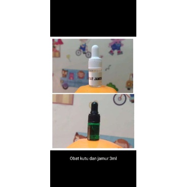 tetes Kutu Dan jamur kucing