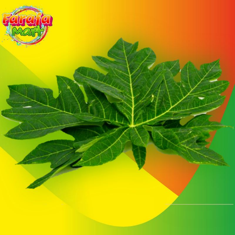 

daun pepaya segar 1 ikat