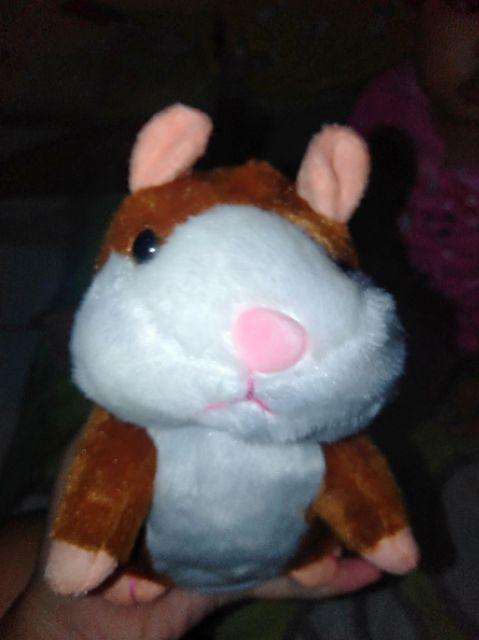  boneka  hamster bisa  bicara  talking hamster mainan  anak 